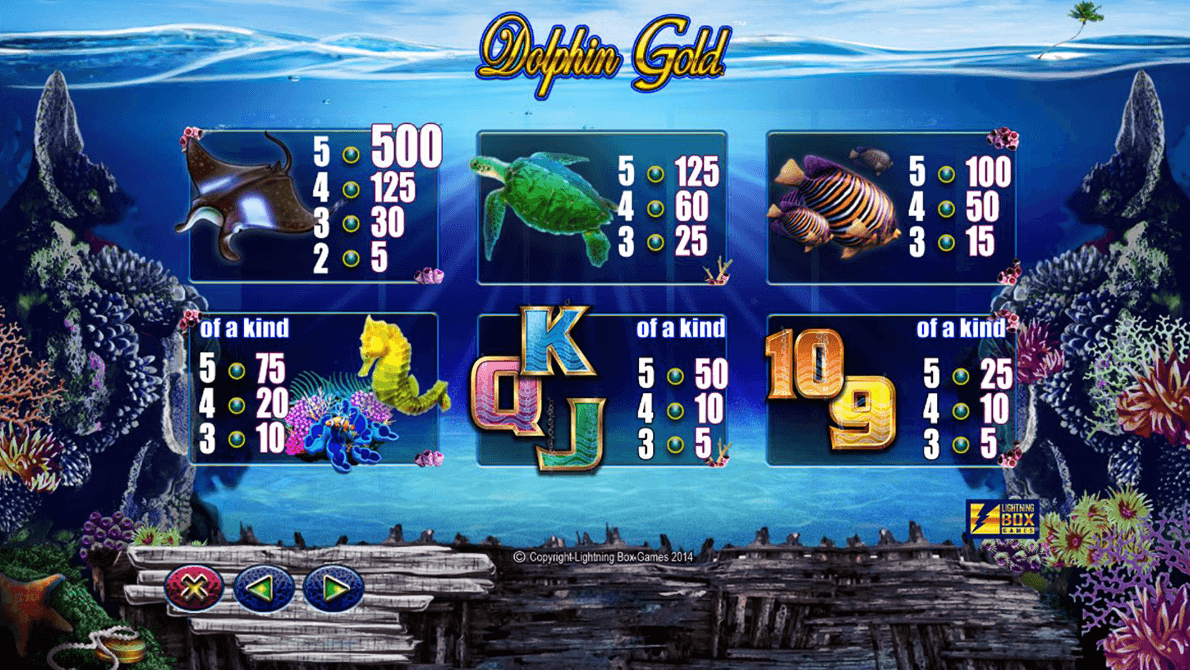 Dolphin Gold 3